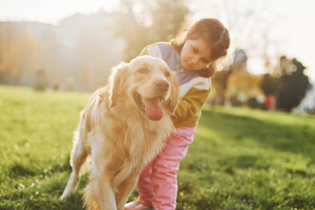 Kislány, sétálj egyet a Golden Retriever kutyával a parkban nappal.. - Fotó, kép
