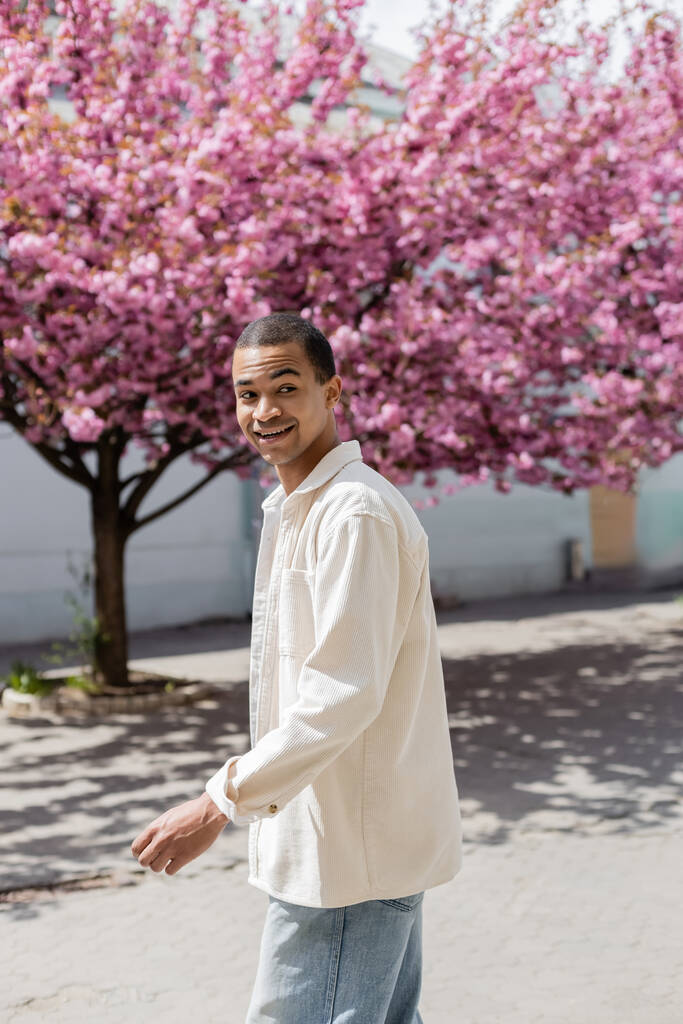 felice uomo africano americano in camicia giacca camminare vicino albero di ciliegio rosa - Foto, immagini
