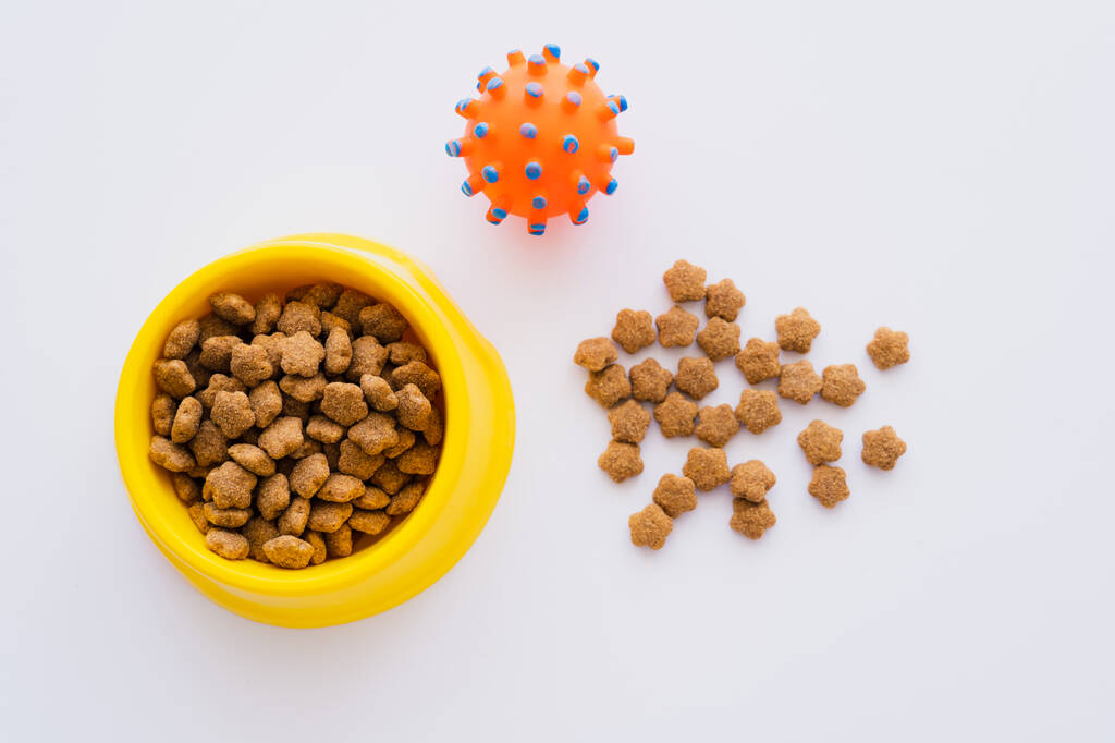 vista superior de alimentos secos e crocantes para animais de estimação perto da tigela e brinquedo de borracha isolado no branco - Foto, Imagem