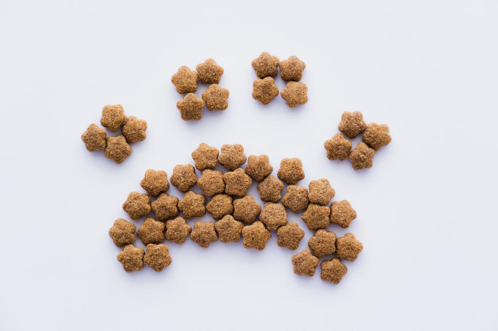 vista dall'alto della forma della zampa fatta di cibo per animali domestici secco isolato su bianco - Foto, immagini