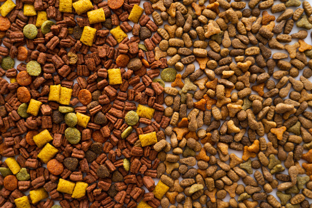 top view of dry pet food in different shapes as background  - Photo, Image