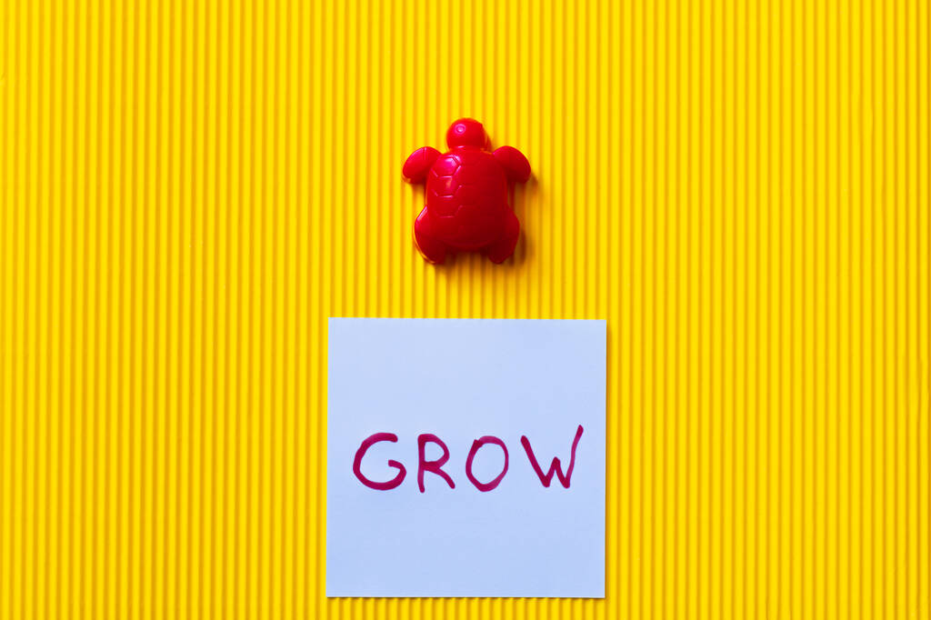 top view of blue card with grow lettering near red toy turtle on yellow background - Photo, Image