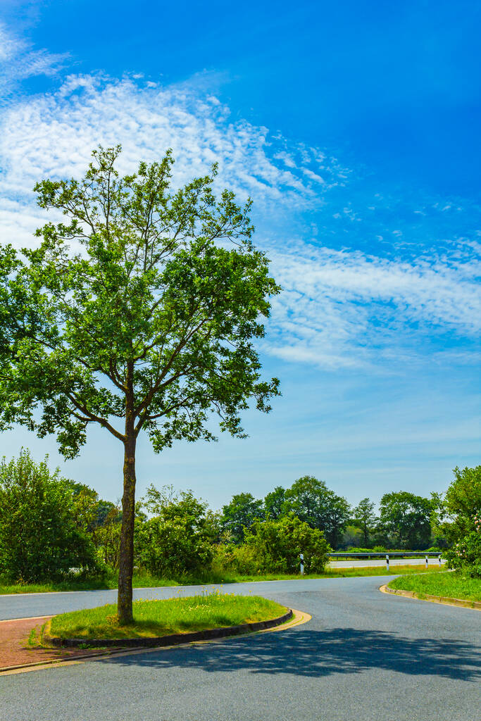 Голубое небо с красивыми лесными деревьями и панорамой культурного ландшафта в федеральной земле Нижняя Саксония. - Фото, изображение
