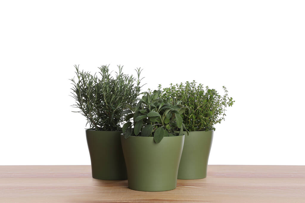 Pots with thyme, sage and rosemary on wooden table against white background - Foto, immagini