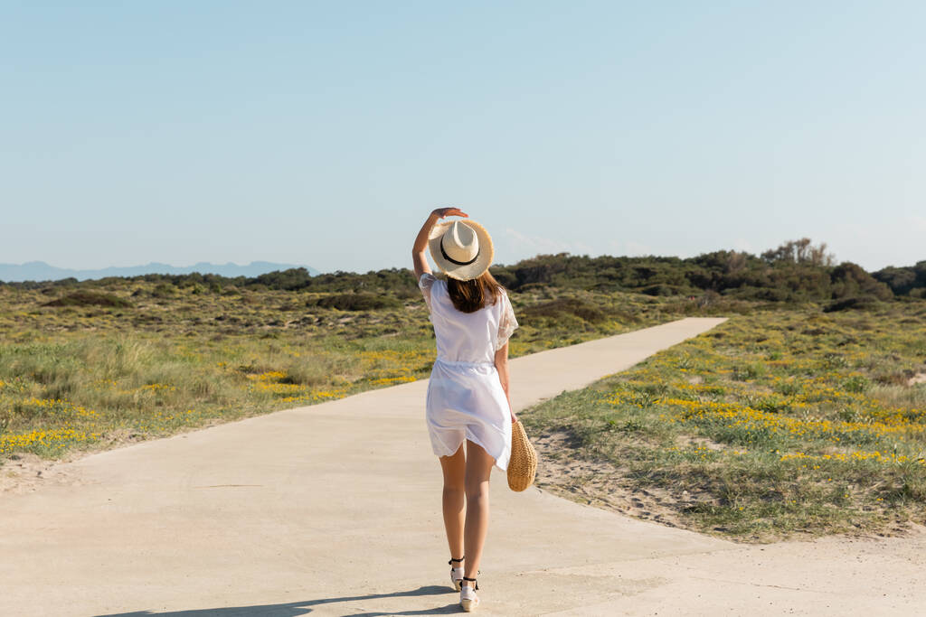 Zadní pohled na ženu v klobouku a šaty drží kabelku při chůzi na pláži  - Fotografie, Obrázek