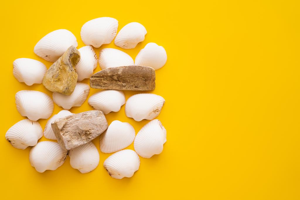 Top view of seashells and stones on yellow background  - Photo, Image