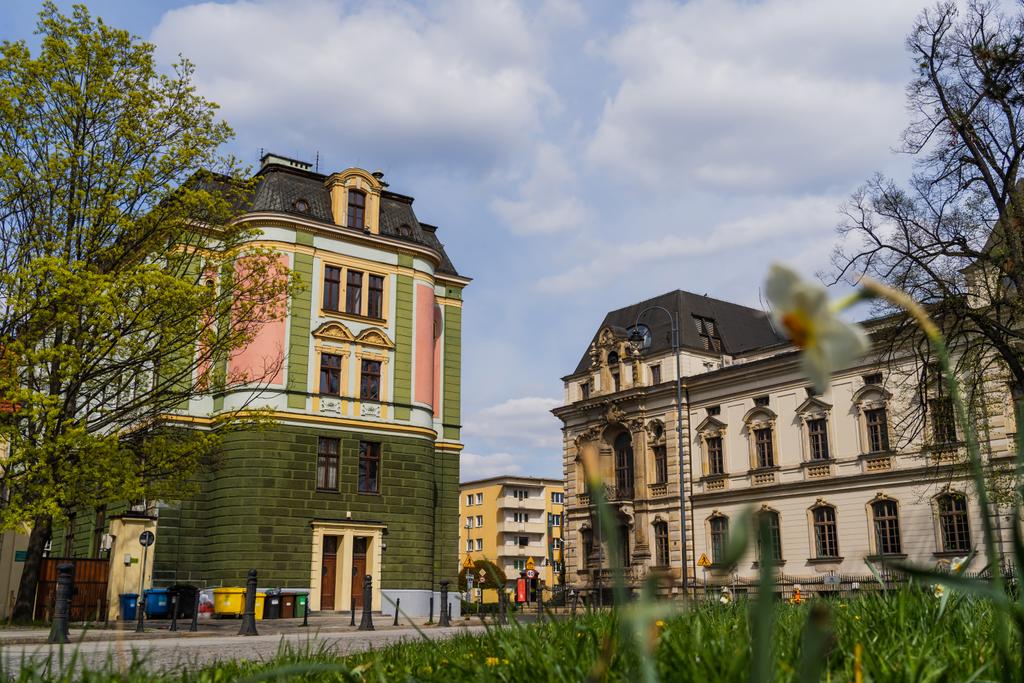 Kaupunkien katu ja hämärtynyt kukka Wroclawissa - Valokuva, kuva
