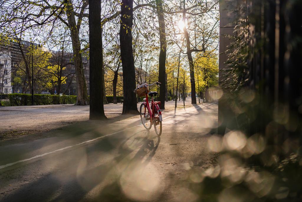 Fahrrad auf Gehweg neben Bäumen auf Straße in Breslau - Foto, Bild