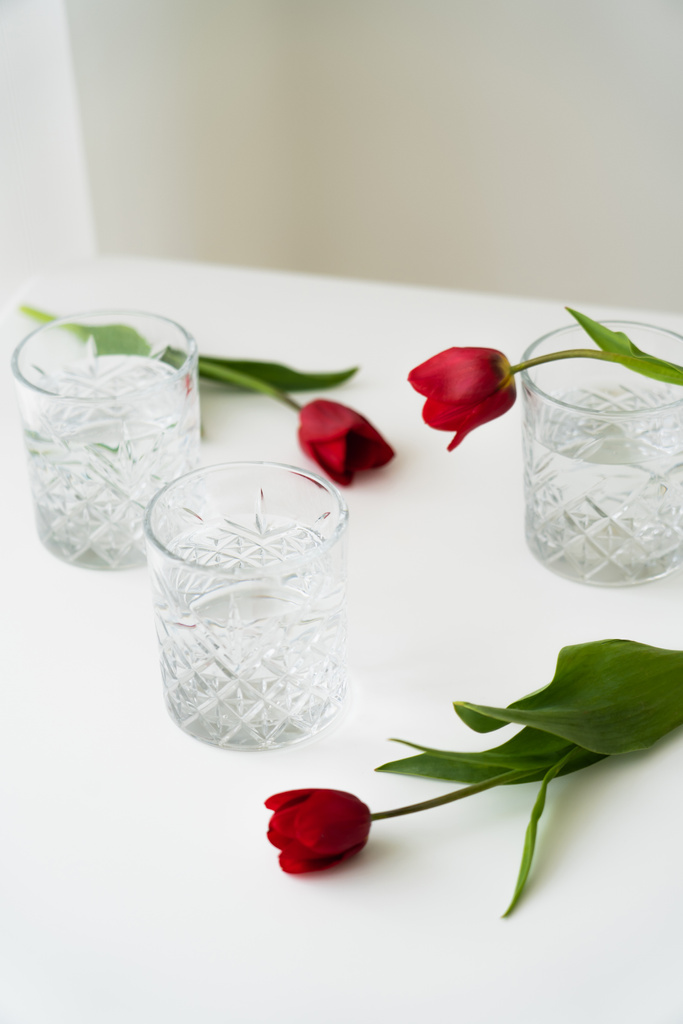 red tulips with green leaves near crystal glasses with water on white tabletop and grey background - Photo, Image