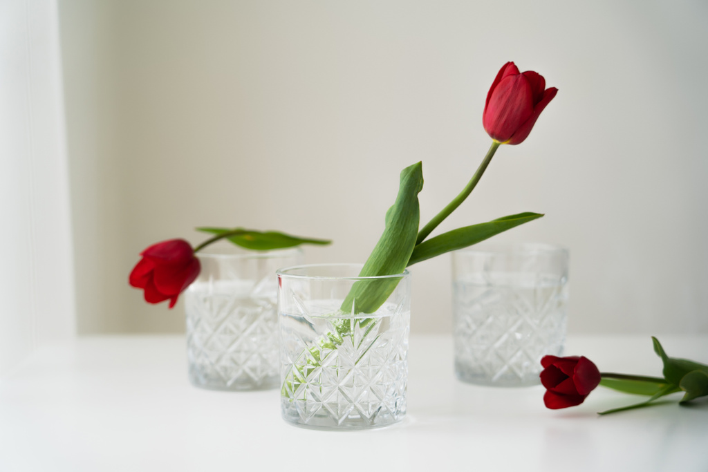 tulipas vermelhas e óculos com água limpa em mesa branca e fundo cinza - Foto, Imagem