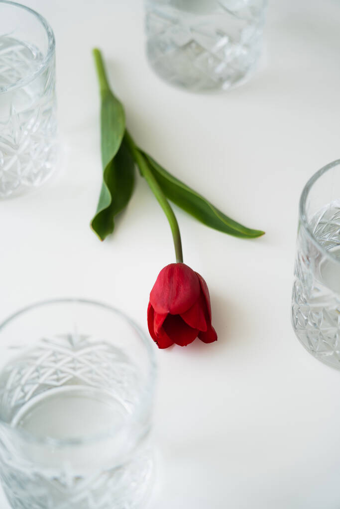 Hochwinkelaufnahme von roter Tulpe mit grünen Blättern in der Nähe von Gläsern mit Wasser auf weißer Tischplatte - Foto, Bild
