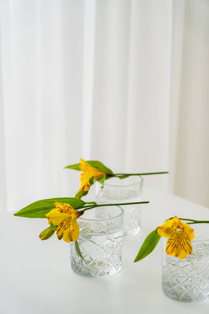 fiori di alstroemeria gialli su bicchieri con acqua su sfondo bianco con spazio copia - Foto, immagini