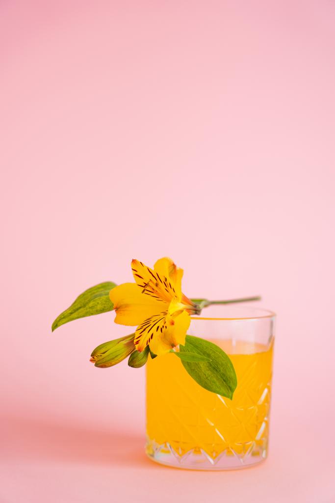 keltainen perulainen lilja lasilla tuoreen sitrushedelmien tonic vaaleanpunaisella taustalla - Valokuva, kuva