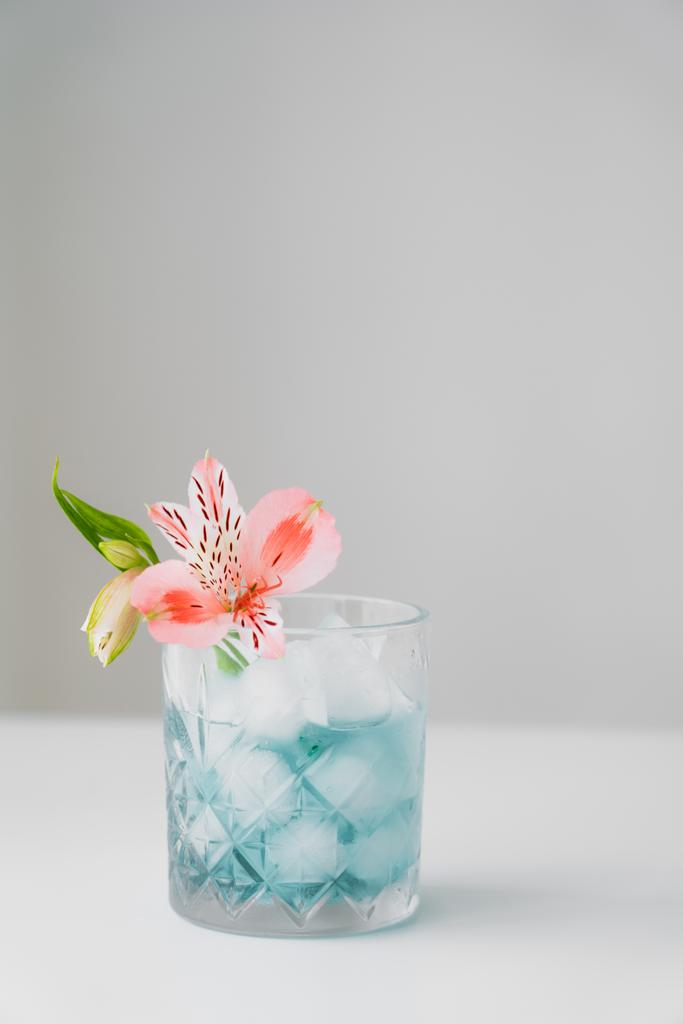 pink alstroemeria flower in glass with iced tonic on white surface isolated on grey - Photo, Image
