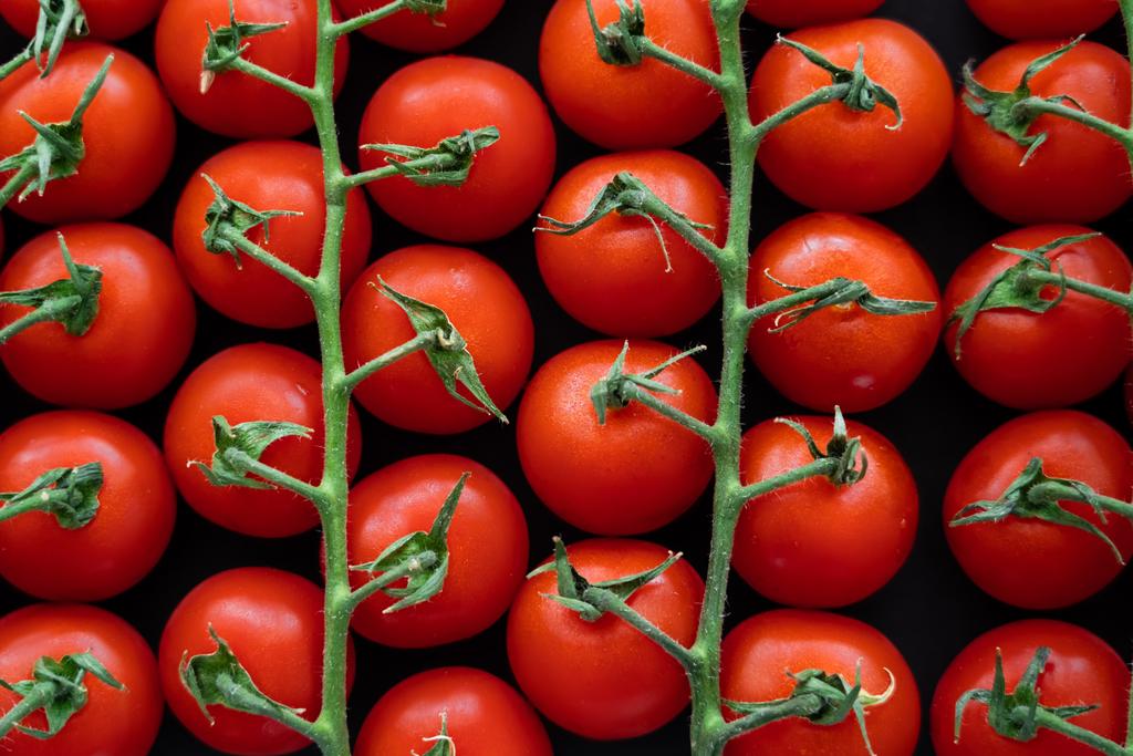 Olgun vişneli domateslerin siyah dallarda izole edilmiş üst görüntüsü  - Fotoğraf, Görsel