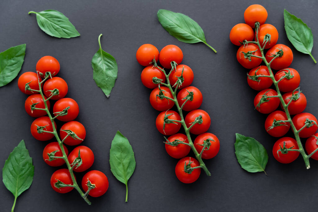 Siyah arka planda fesleğen yapraklı kiraz domateslerinin üst görüntüsü  - Fotoğraf, Görsel
