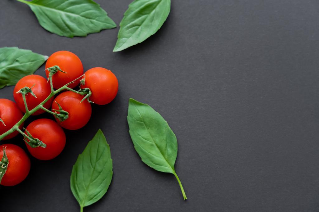 Top view of fresh basil and cherry tomatoes on black background  - Photo, Image