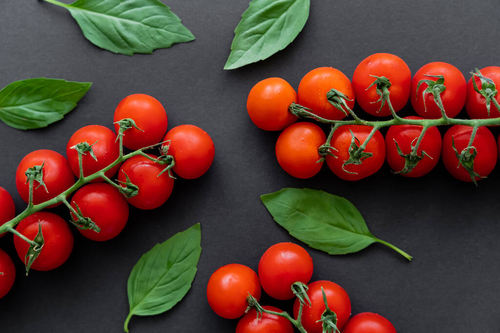 Top view of organic basil leaves and cherry tomatoes on black background  - Photo, Image