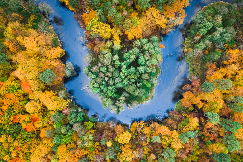 Mavi nehrin ve çarpıcı renkli sonbahar ormanlarının havadan görünüşü, Polonya - Fotoğraf, Görsel