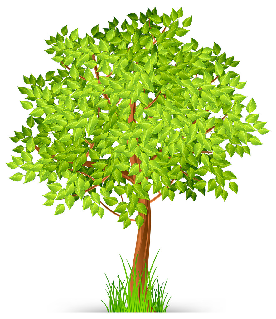 drzewa zielone - Wektor, obraz