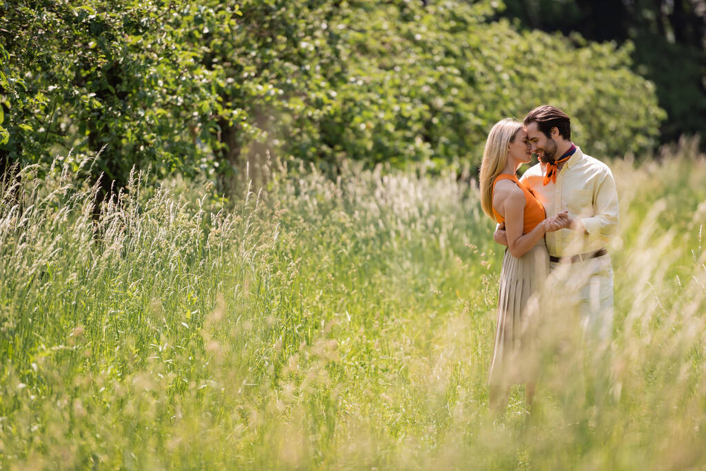 Gülümseyen çiftin el ele tutuşması ve yaz parkında çimenlikte kucaklaşması.  - Fotoğraf, Görsel
