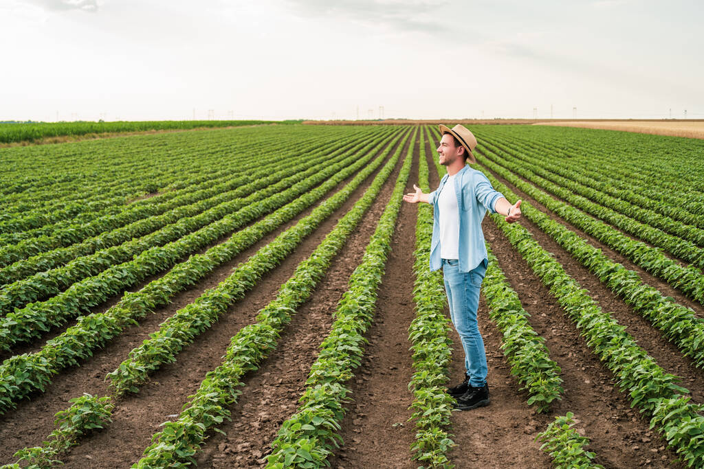 Fazendeiro feliz com braços estendidos em pé em seu crescente campo de soja. - Foto, Imagem