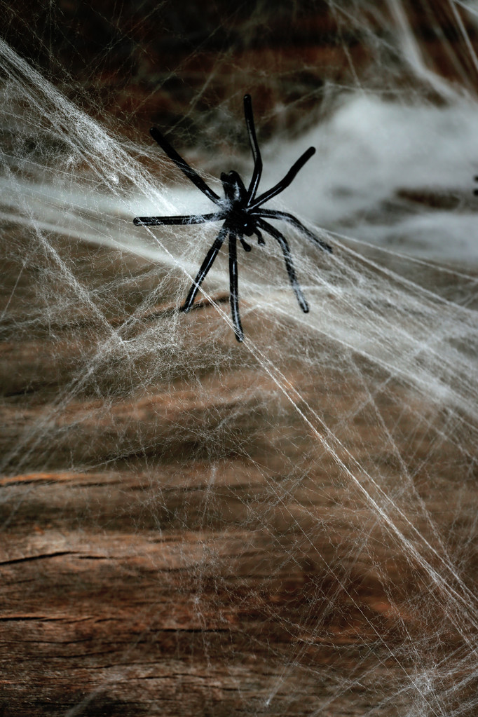 Cobweb com aranha preta
 - Foto, Imagem