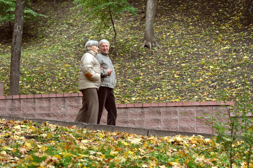 秋の公園のシニアカップル - 写真・画像