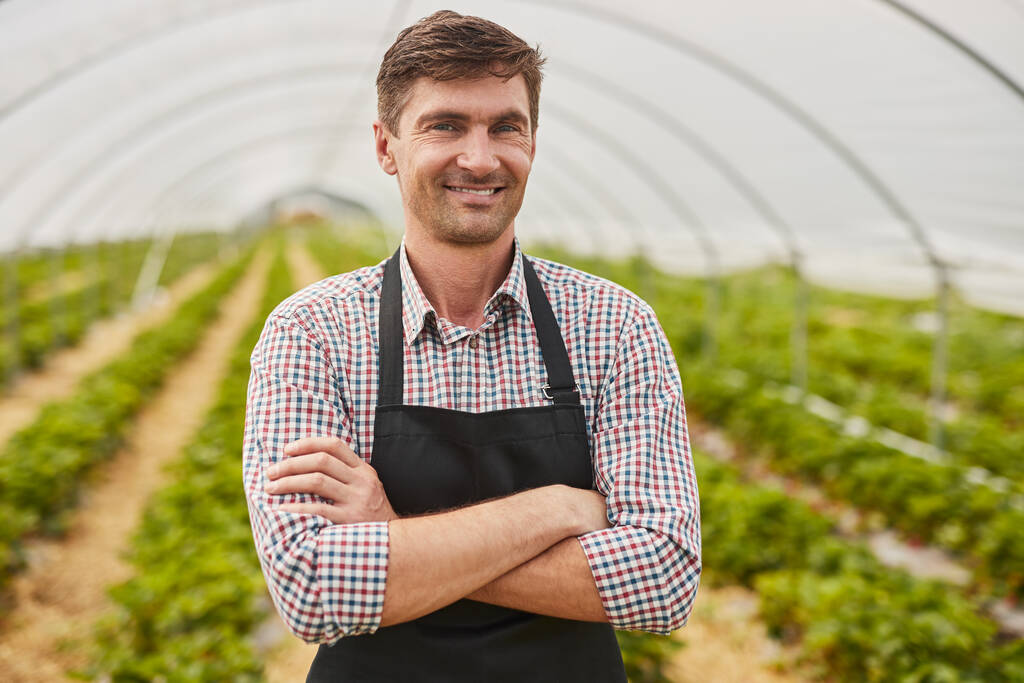 Самоуверенный взрослый мужчина в клетчатой рубашке и фартуке, скрещивая руки и глядя на камеру с улыбкой, стоя на размытом фоне теплицы на ферме - Фото, изображение