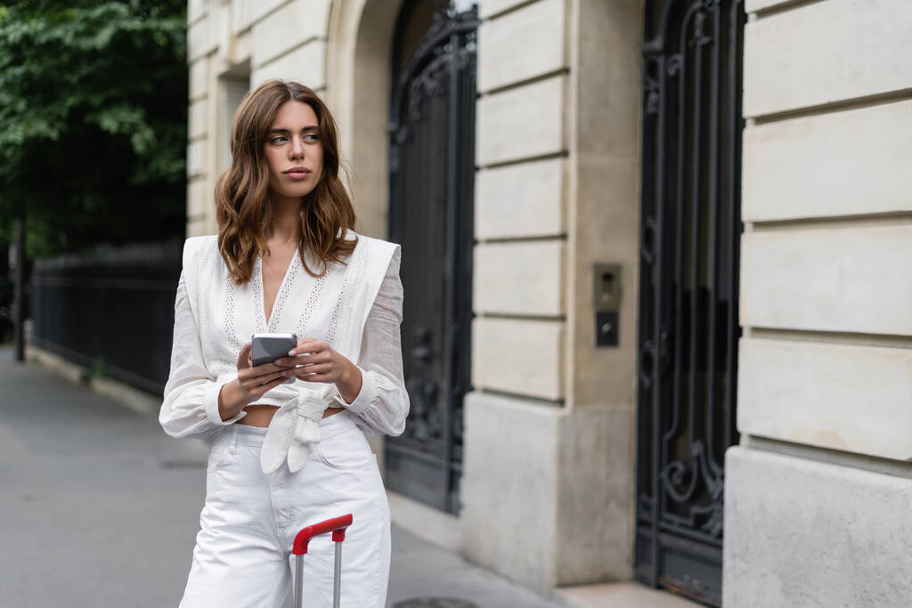 Paris 'te şehir sokağında bavulun yanında akıllı telefon kullanan şık bir kadın.  - Fotoğraf, Görsel