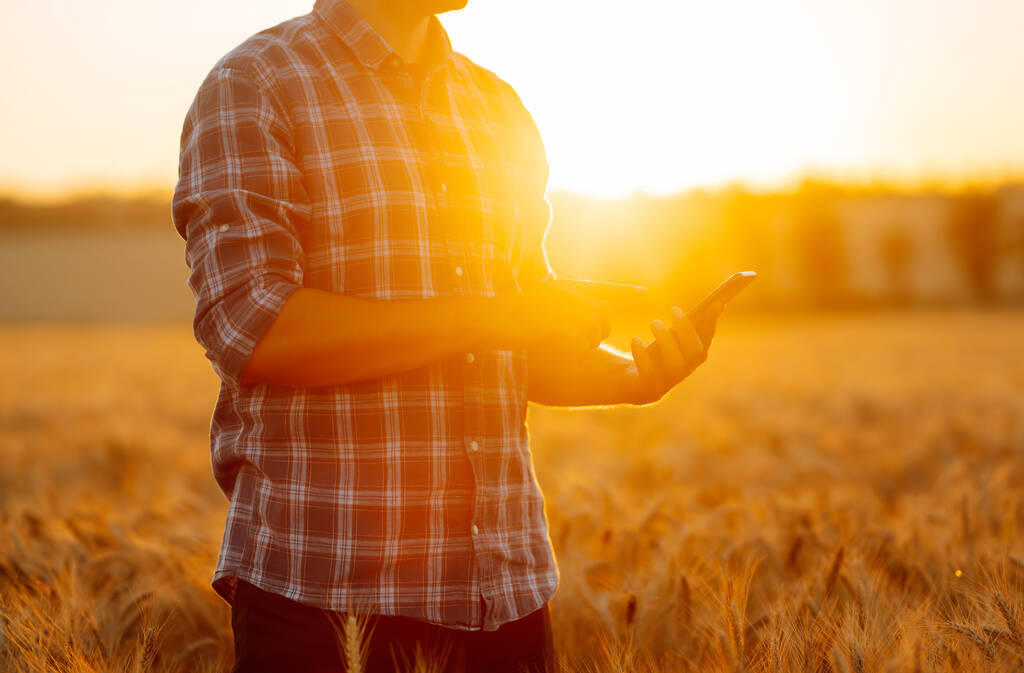 農家は彼の成長している小麦畑に立っていると電話を保持し、インターネットを使用しています。農業、園芸、技術の概念. - 写真・画像