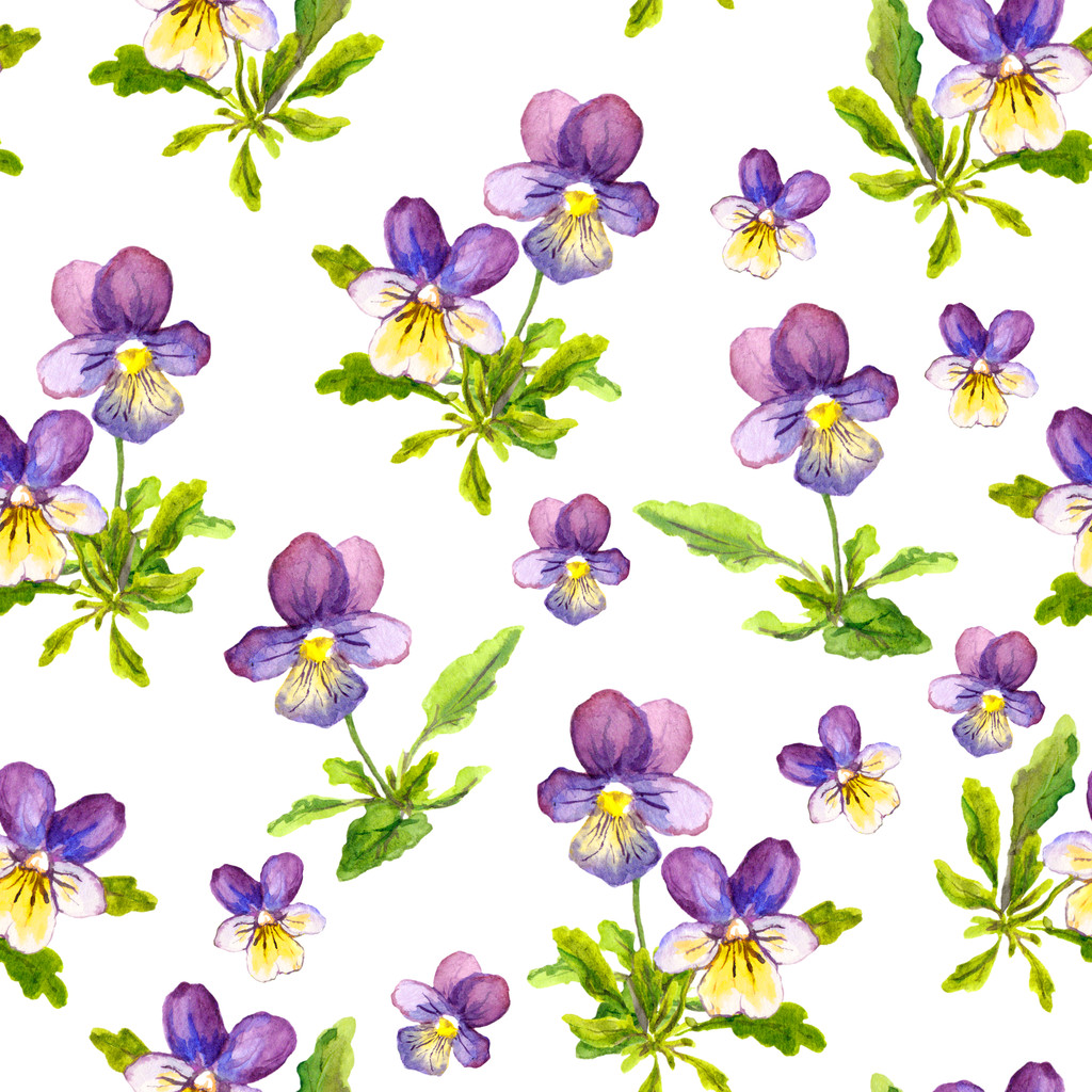 Květinový vzor bezešvé s květy fialové viola - Fotografie, Obrázek