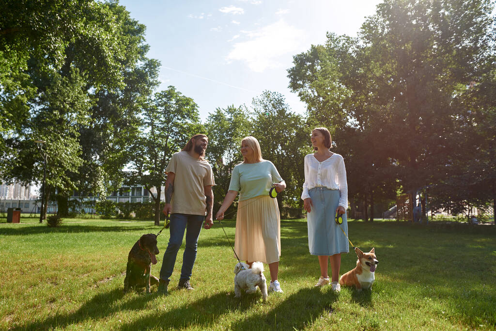 Tres personas caucásicas positivas paseando a sus perros en el prado verde en el parque. Corgi, Kurzhaar y perros malteses. Relación entre humano y animal. Propietario y mascota amistad. Día soleado de verano - Foto, imagen
