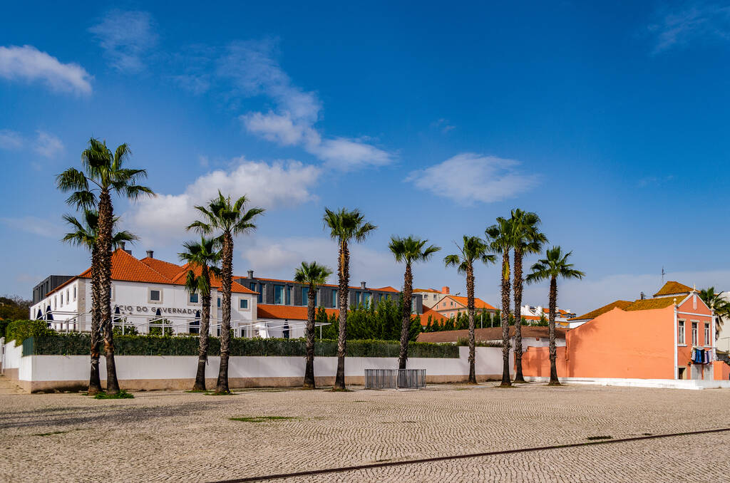 Живописный снимок пальм и красочных домов в Белеме, Лиссабон, Португалия - Фото, изображение