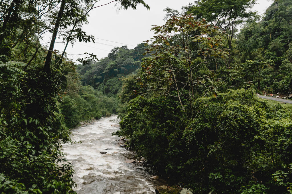 Un arroyo que fluye hacia el lago Atitlán a través de un bosque en Guatemala - Foto, imagen