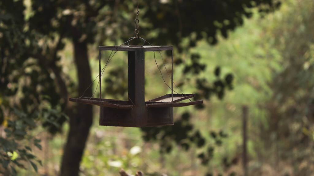Un plan sélectif de la cabane de repos de l'oiseau accrochée à un arbre dans la forêt - Photo, image
