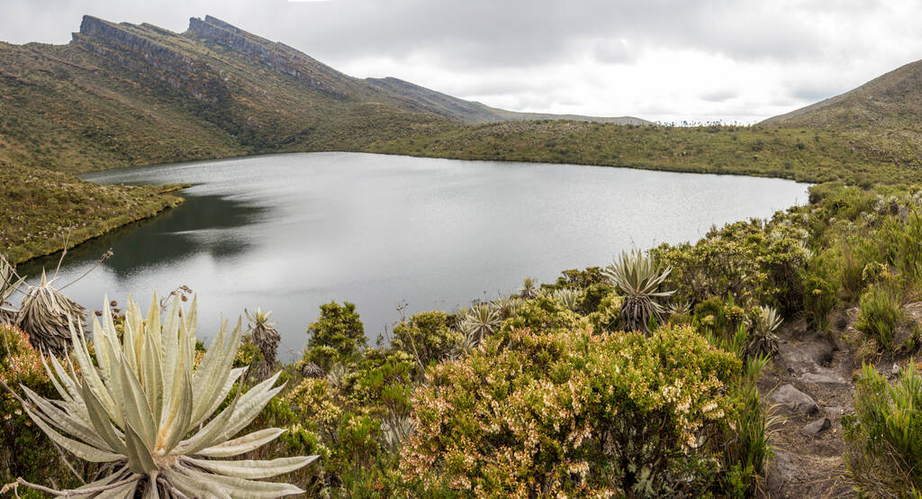 Вид Андийских озер (Lagunas de Facha) под облачным небом, Национальный парк Чингаза в Кундинамарке, Колумбия - Фото, изображение