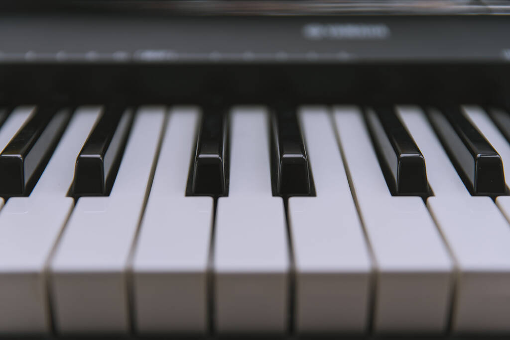 Крупный план черно-белых клавиш фортепиано - Фото, изображение