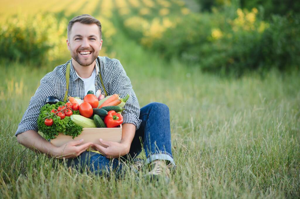 Um agricultor masculino com uma caixa de vegetais frescos caminha ao longo de seu campo. Alimentação saudável e legumes frescos. - Foto, Imagem