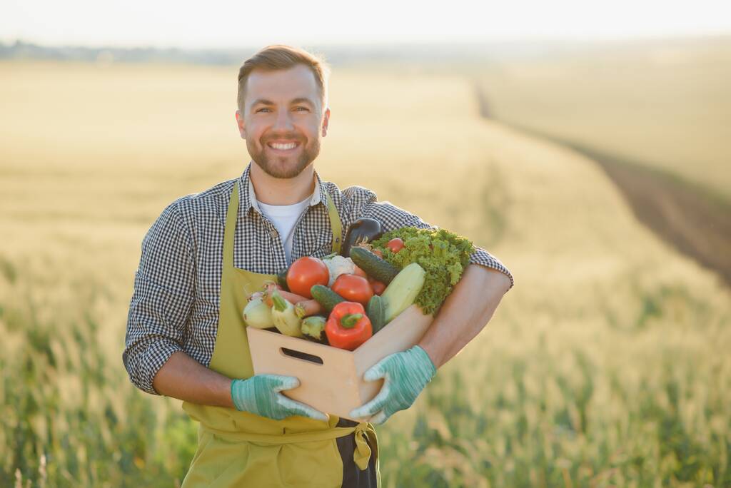 agricultor transportando caixa de legumes colhidos
. - Foto, Imagem