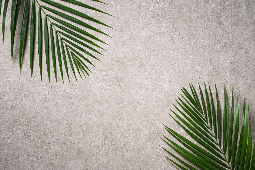 Vista superior de la rama de hojas de palmeras tropicales aisladas sobre fondo gris oscuro con espacio para copiar. - Foto, imagen