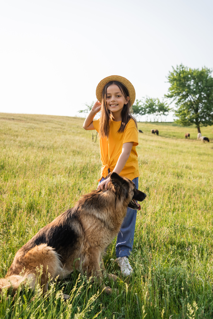ребенок в соломенной шляпе, улыбающийся в камеру рядом с собакой и пасущимся стадом на пастбище - Фото, изображение