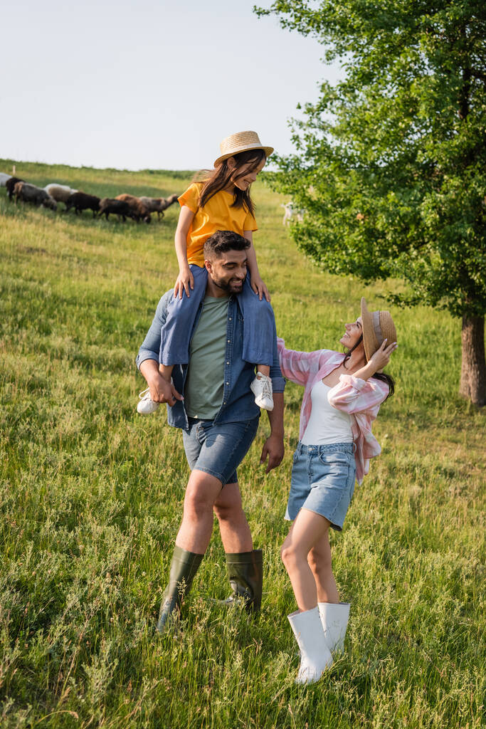 Gülümseyen adam, çimenli çayırlarda eşiyle yürürken kızını sırtında taşıyor. - Fotoğraf, Görsel