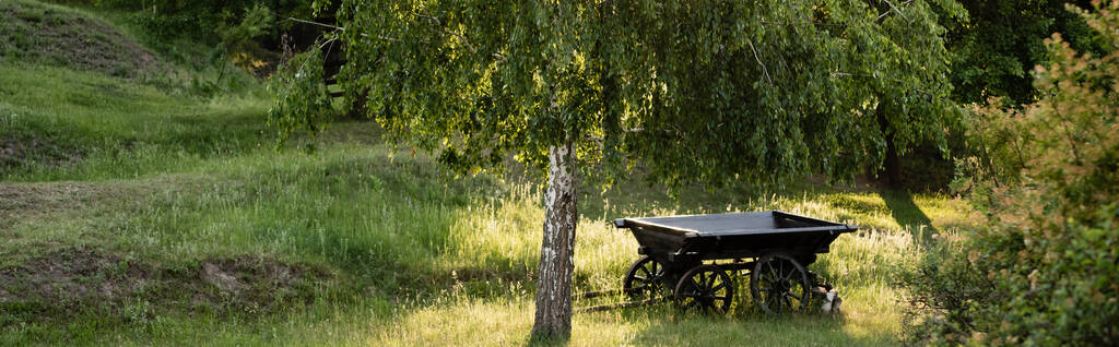 rusztikus szekér zöld gyepen nyírfa alatt napsütésben, banner - Fotó, kép