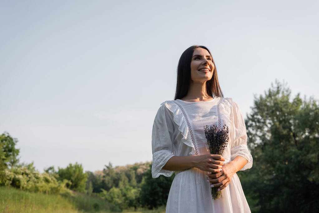 Beyaz elbiseli, açık havada lavanta çiçekleri tutan mutlu kadının alçak açılı görüntüsü. - Fotoğraf, Görsel