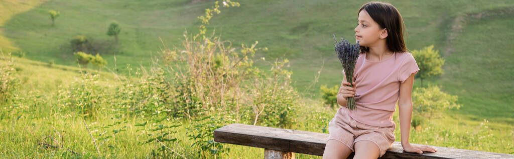menina morena com flores de lavanda sentado no banco no prado verde, banner - Foto, Imagem