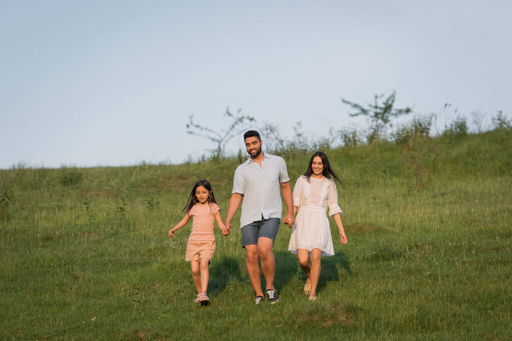 koko pituus hymyilevä perhe kädestä kesäkävelyllä niityllä - Valokuva, kuva