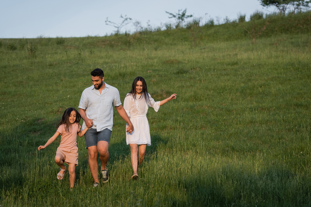 full length of cheerful family holding hands while walking in green meadow - Foto, imagen