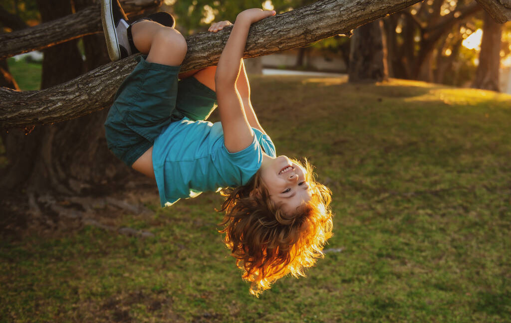 面白いクライミングの少年。子供は夏の公園で高い木に登る - 写真・画像