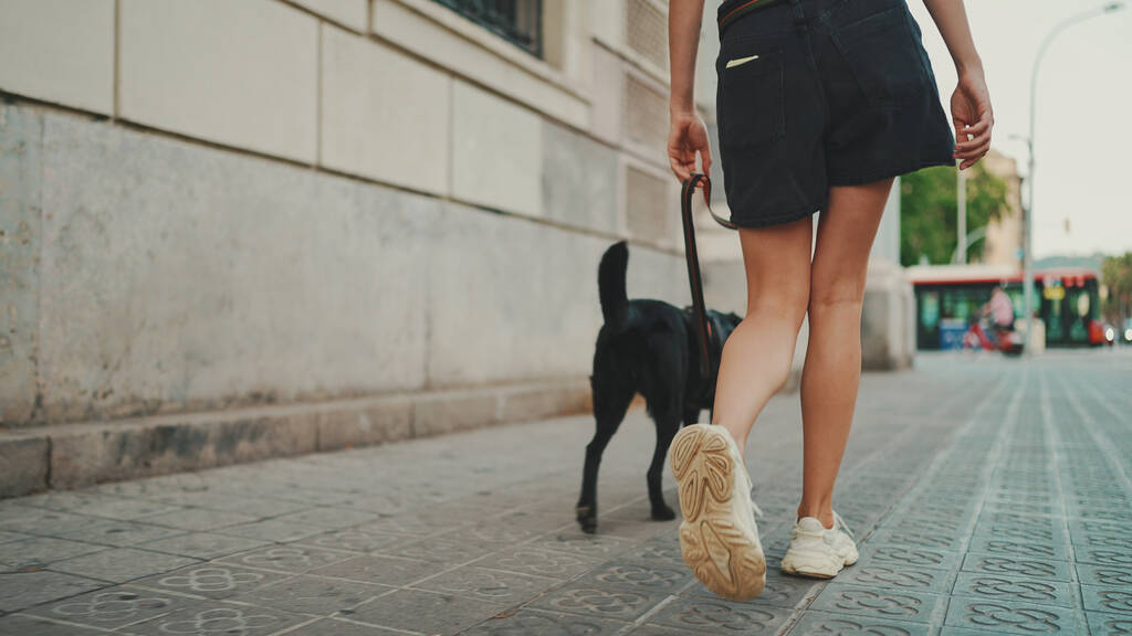 Dívka kráčí po ulici města se svým domácím mazlíčkem.  - Fotografie, Obrázek
